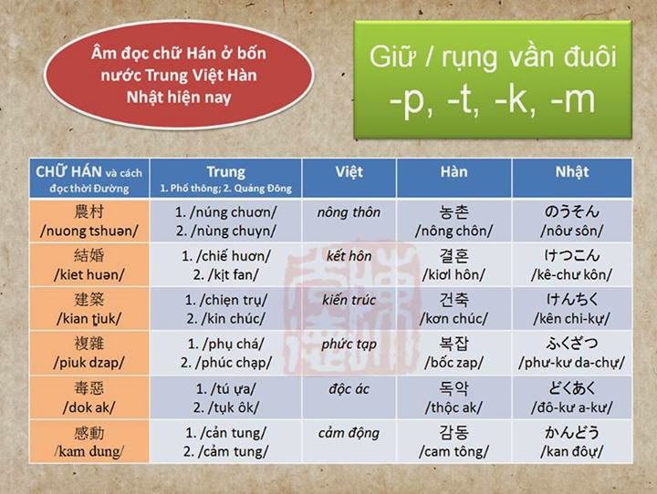 Tiếng Quảng Đông nghe có giống tiếng Việt Nam không? | Hán Ngữ Hải Phòng
