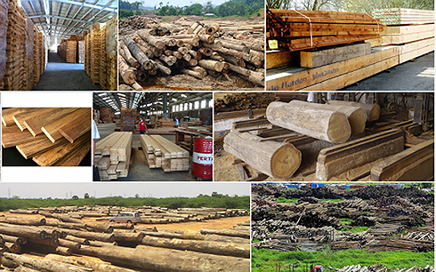 Danh sách Mã Cổ phiếu ngành gỗ đang tăng trưởng tốt nên đầu tư 2021 - Traderfin.vn