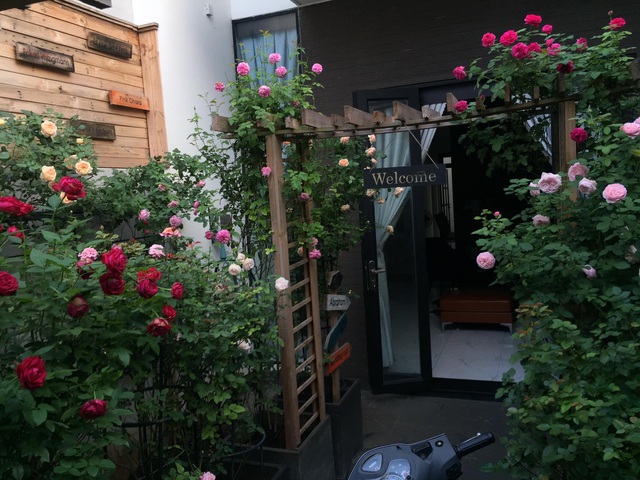 Ngôi nhà hoa hồng tuyệt đẹp giữa Sài Gòn: Chủ nhân là cao thủ, tiết lộ bí quyết chăm mảnh vườn 40m2 với vài chục giống hồng ngoại, hoa nở rực rỡ tỏa hương thơm khắp chốn - Ảnh 2.