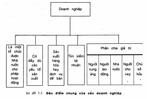 Doanh nghiệp (Enterprise) là gì? Các loại hình doanh nghiệp