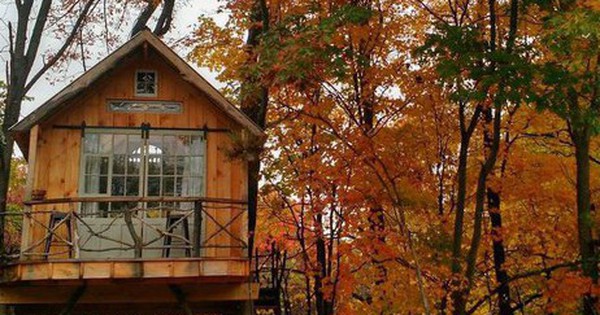 10 ngôi nhà trên cây với thiết kế ấn tượng