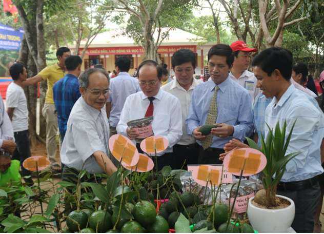 Phú Yên từng bước đưa ngành du lịch trở thành ngành kinh tế quan trọng của tỉnh - Ảnh 2.