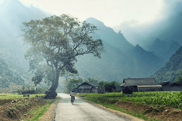  Khung cảnh bản làng và nét đẹp cuộc sống đồng bào người Dao