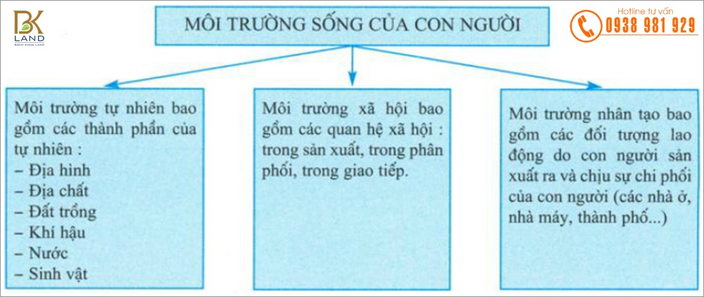 Tất tần tật về Quận 10 Thành phố Hồ Chí Minh 1