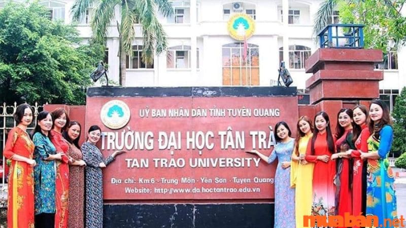 Trường ĐH Tân Trào