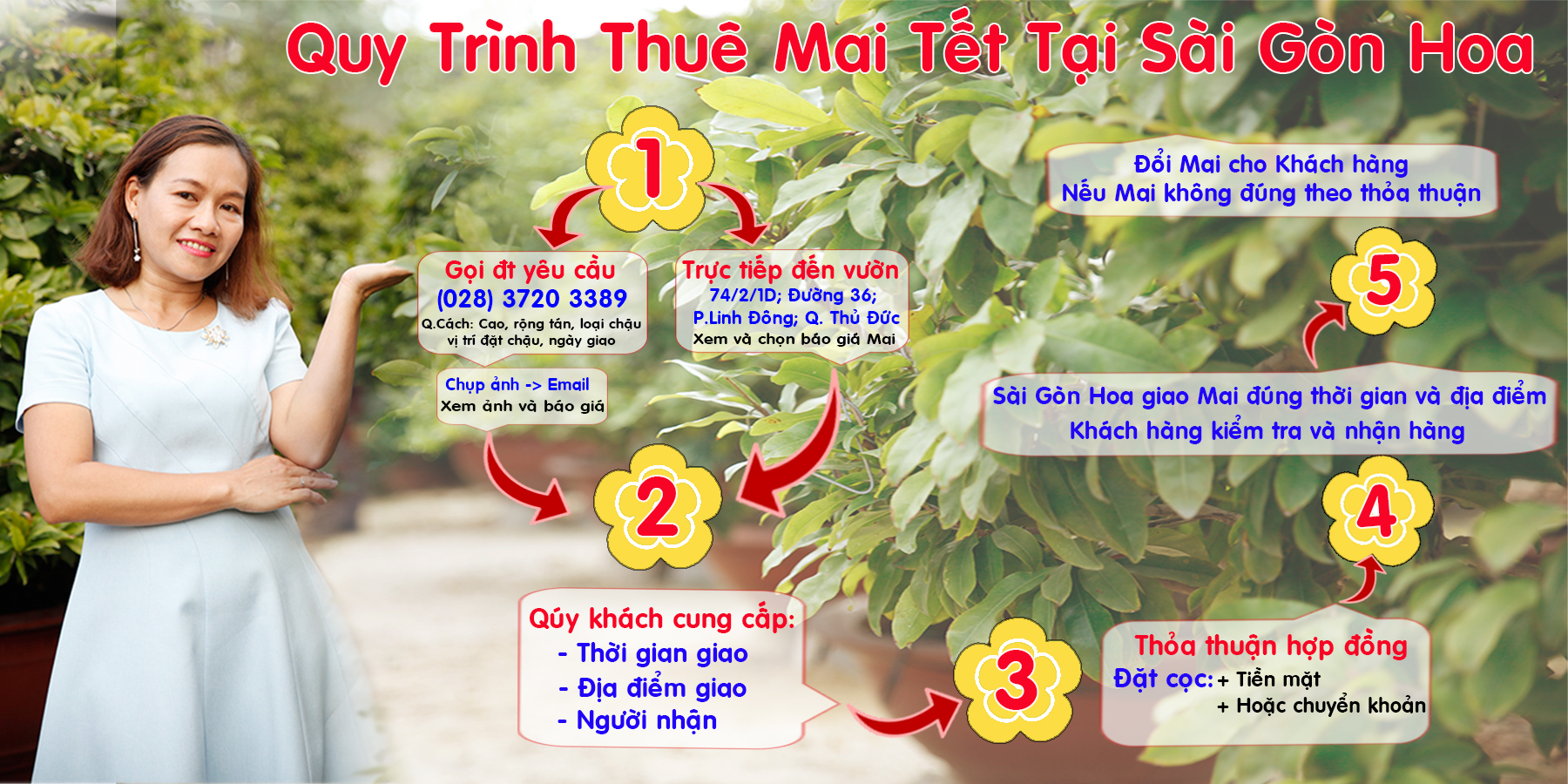 Quy Trinh Thue Mai Tet