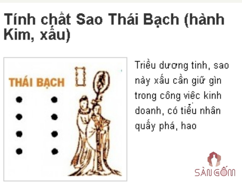 sao-thai-bach-chieu-thi-nhu-the-nao