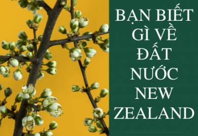 Bạn biết gì về đất nước New Zealand?