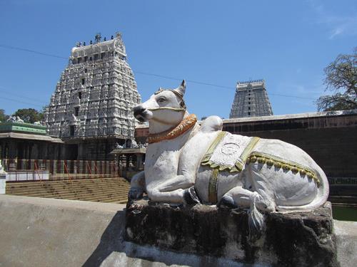 Thần bò - vị thần được tôn thờ ở Ấn Độ 1