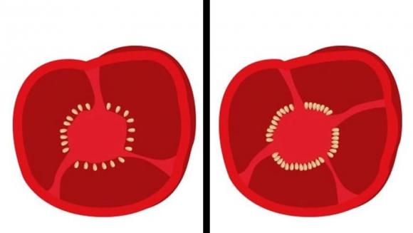 công nghiệp thực phẩm, chế biến