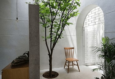 Giải pháp mang cây xanh vào thiết kế nhà ống | Kiến trúc Bộ Ba