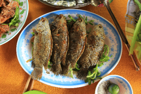 Thưởng thức món cá rô rừng tại Nam Cát Tiên