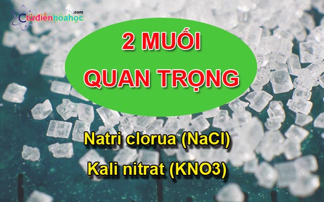 Tính chất và ứng dụng của muối Natri clorua (NaCl) và Kali nitrat (KNO3)