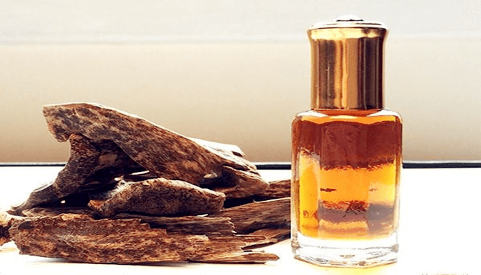 Tinh dầu trầm hương là gì? Có tác dụng gì với sức khỏe con người?