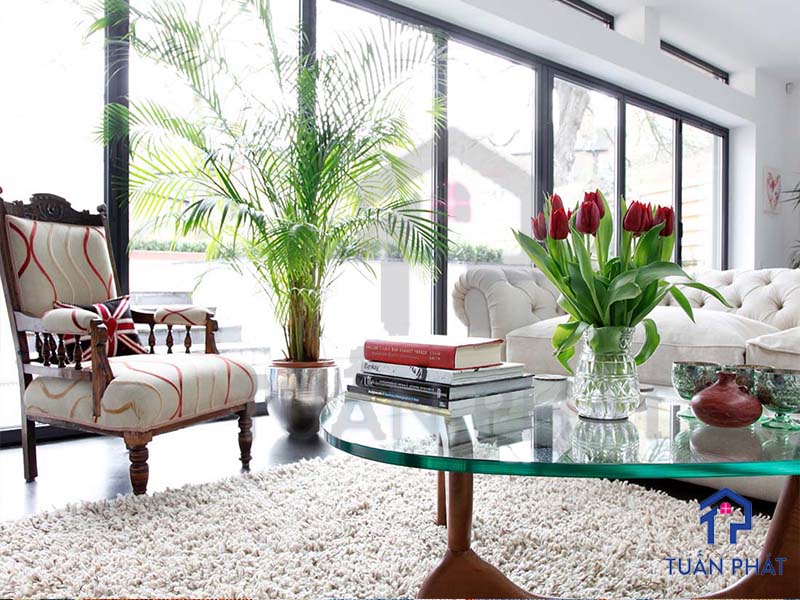 Trang trí phòng khách bằng cây xanh tương ứng với từng vẻ đẹp riêng