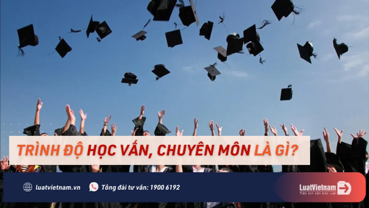 Trình độ học vấn là gì? Trình độ chuyên môn là gì?