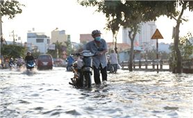 Cảnh báo triều cường gây ngập úng nhiều khu vực ven biển Nam Bộ