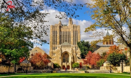 Đại học Yale - Một trong những trường danh tiếng của nước Mỹ - EduPath