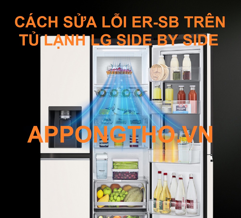 Nguyên nhân nào gây ra lỗi ER-SB tủ lạnh LG?