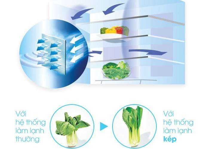 Công nghệ làm lạnh kép trên tủ lạnh Sharp duy trì độ ẩm tốt, khắc phục việc héo úa thực phẩm khi gió của ngăn đông tràn sang