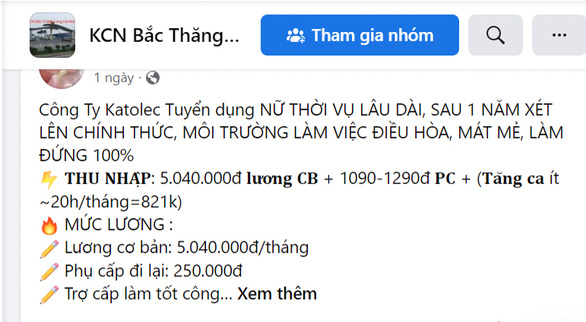 Lao động thời vụ dịp Tết rao đầy, người lao động không màng - Ảnh 2.