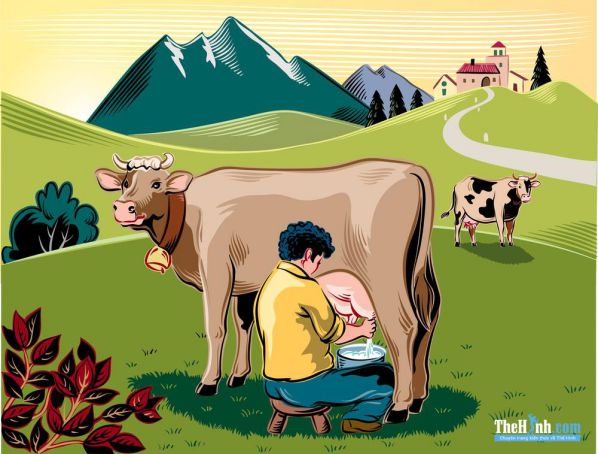 Uống sữa bò có tốt không, những tác hại của sữa bò mà bạn ...