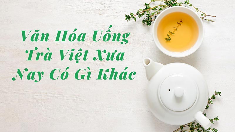 Văn Hóa Uống Trà Việt Xưa Và Nay Có Gì Khác | Trà Phước Lạc