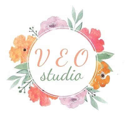 Veo Studio Logo