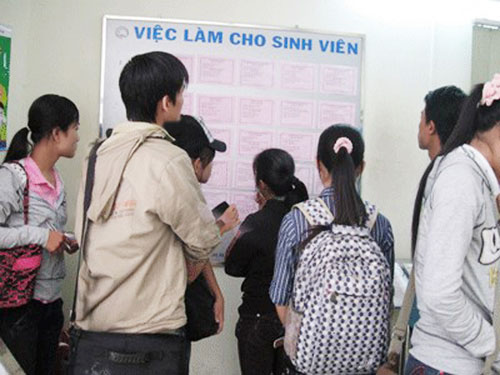 Chạnh lòng sinh viên làm thêm dịp Tết