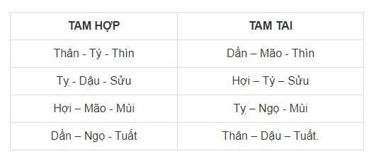 Vướng hạn tam tai năm 2021, đen đủi đổ đầu các con giáp này - Ảnh 1.