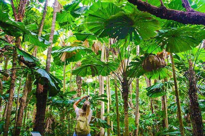 Toplist những khu rừng nhiệt đới đẹp nhất trên trái đất