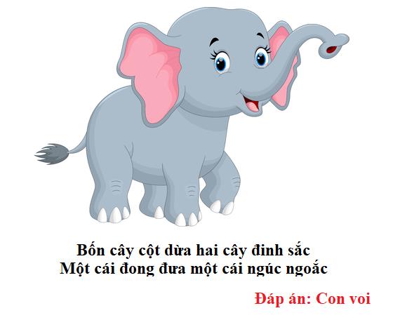 những câu đố về con vật có đáp án: Con voi