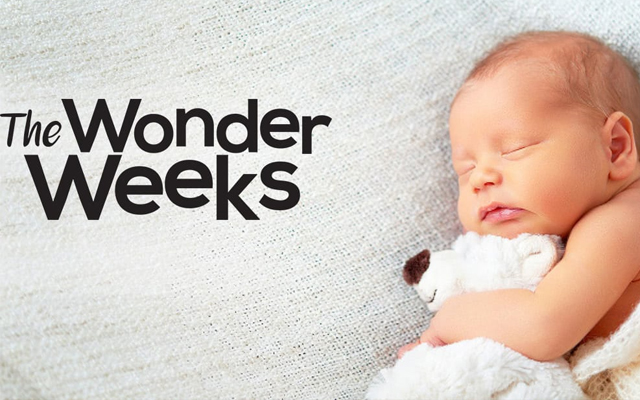 Wonder weeks là gì? Các tuần khủng hoảng của bé hay wonder week của trẻ, mẹ đã biết? - HAPPY TIME