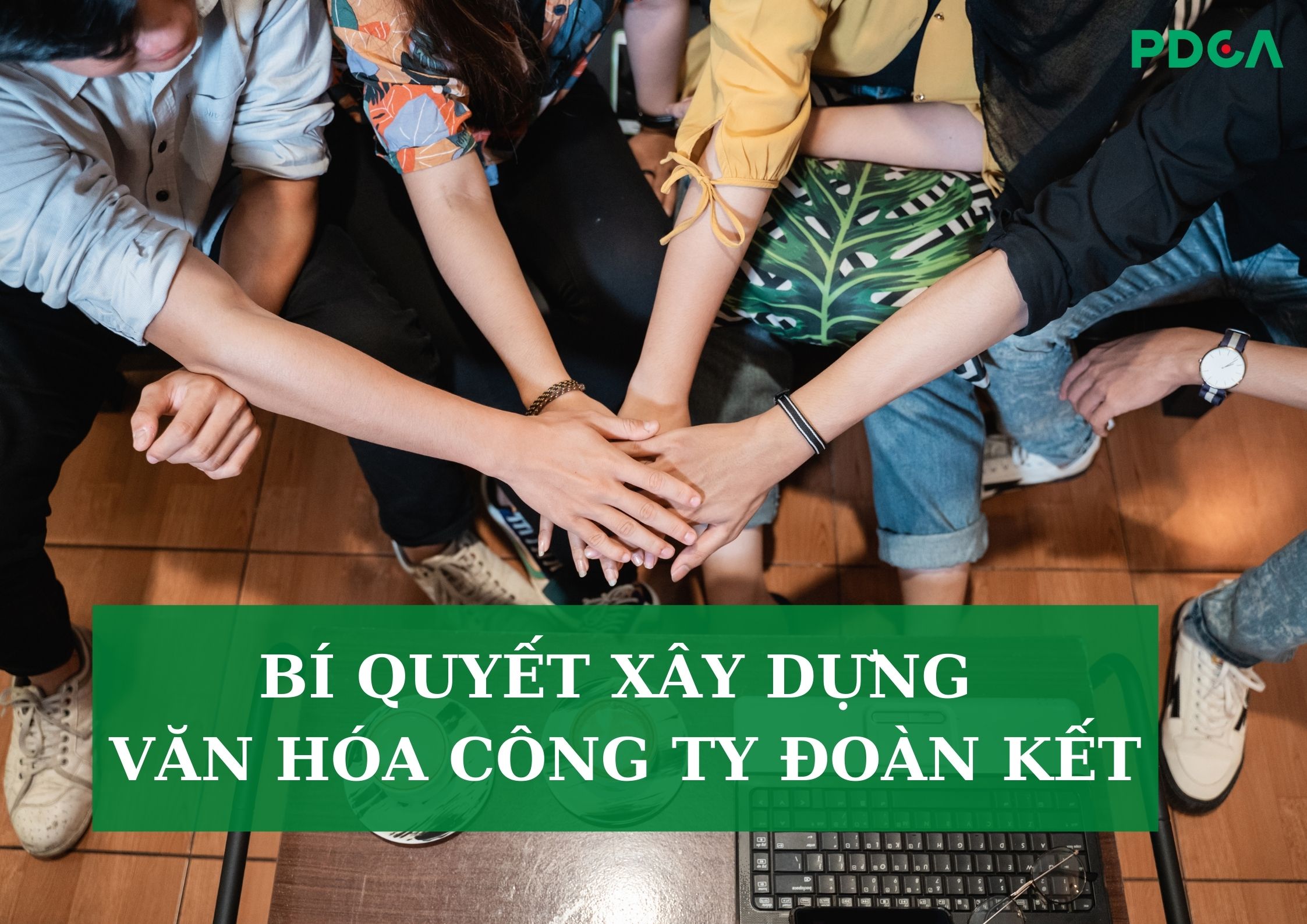 7 bước xây dựng văn hóa doanh nghiệp bài bản, chuyên nghiệp