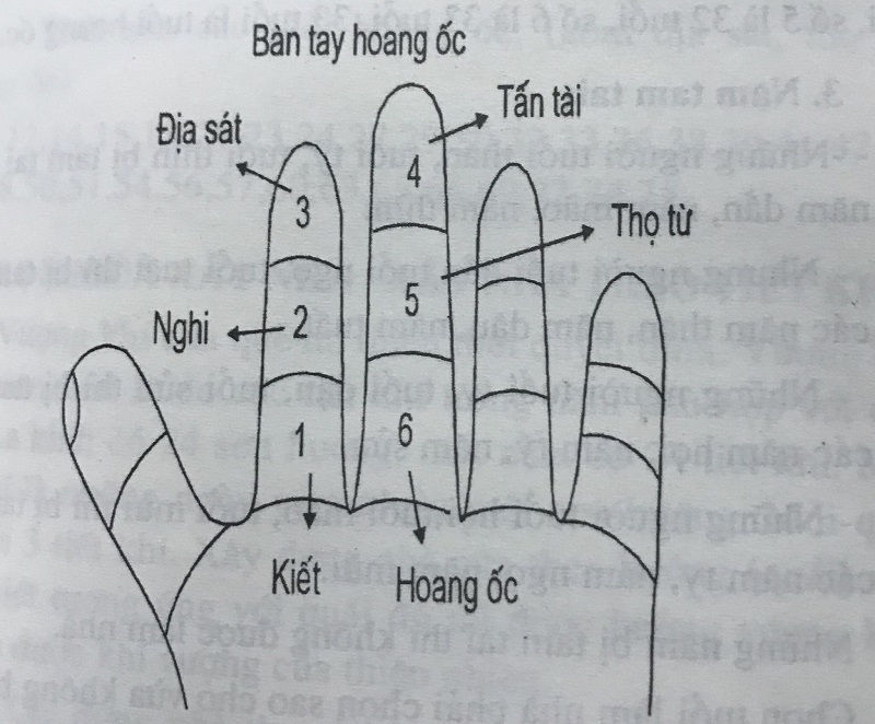 xem-hoang-oc