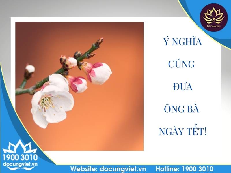 Ý nghĩa cúng đưa ông bà ngày tết