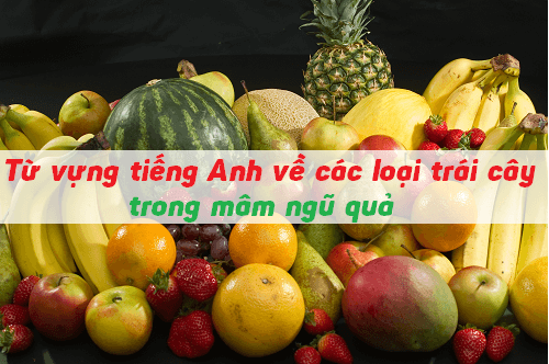 y nghia cua mam ngu qua bang tieng anh