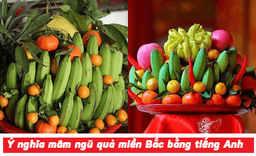 y nghia mam ngu qua bang tieng anh