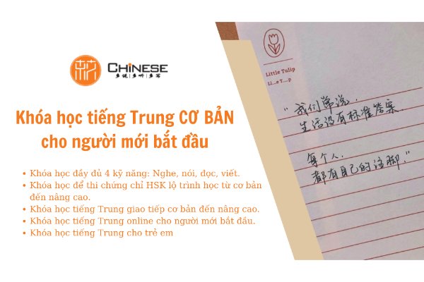 Khóa học tiếng Trung cơ bản cho người mới bắt đầu tại Chinese